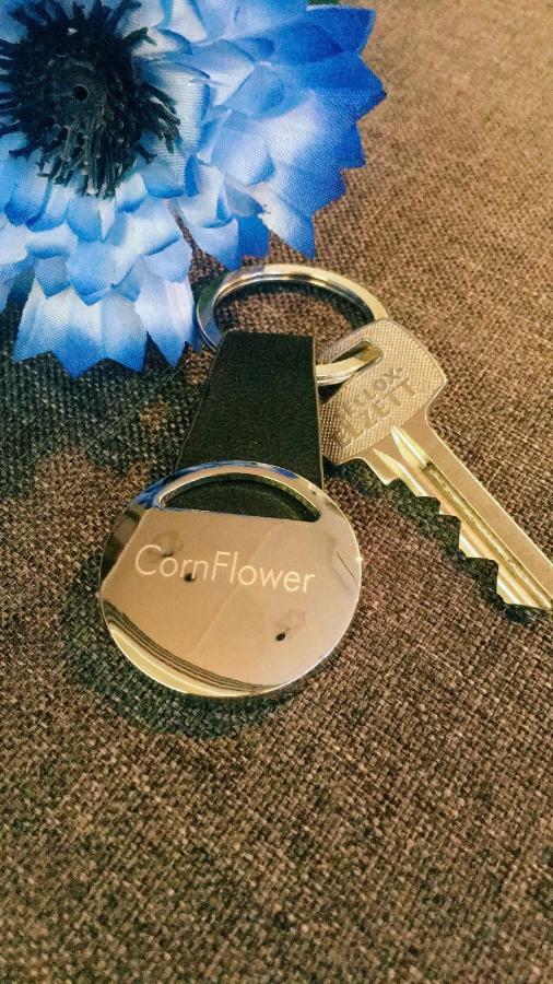 Cornflower Apartment Hajdúszoboszló Екстериор снимка